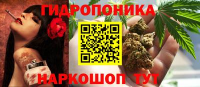 Альфа ПВП Можайск