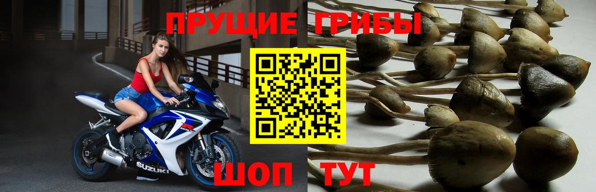 Галлюциногенные грибы мухоморы Бугуруслан